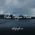 Palm Canyon Drive Font