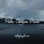 Palm Canyon Drive Font