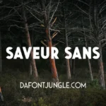 Saveur Sans Font