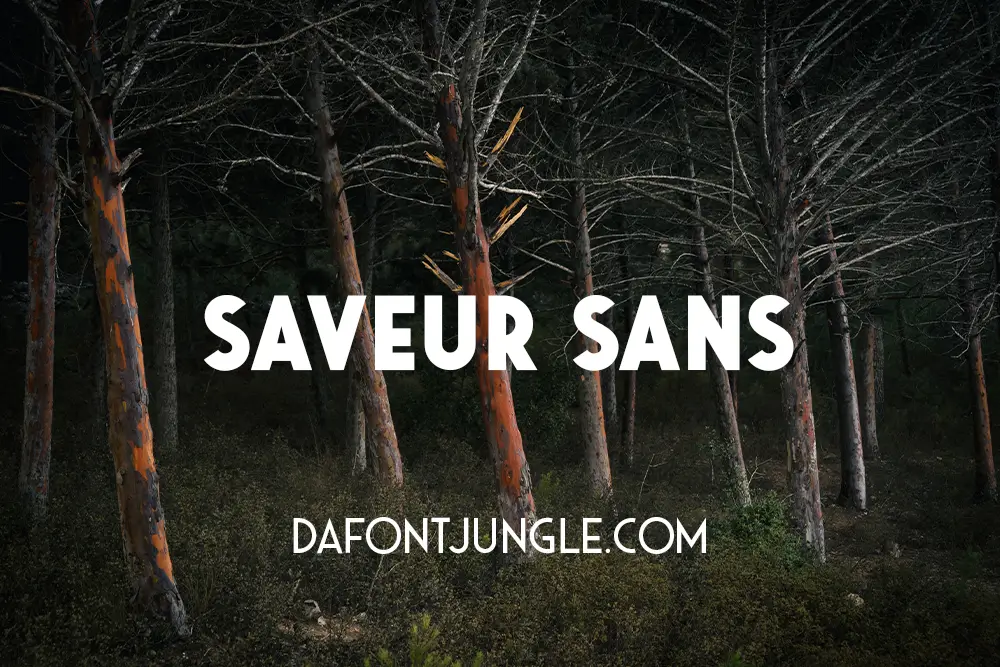 Saveur Sans Font